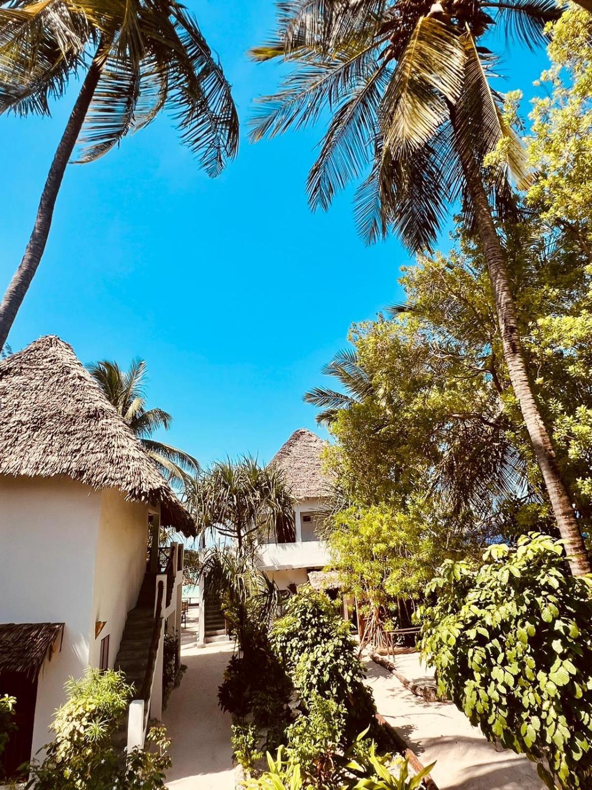 Helwas Zanzibar Beach Hotel ブウェワウ エクステリア 写真